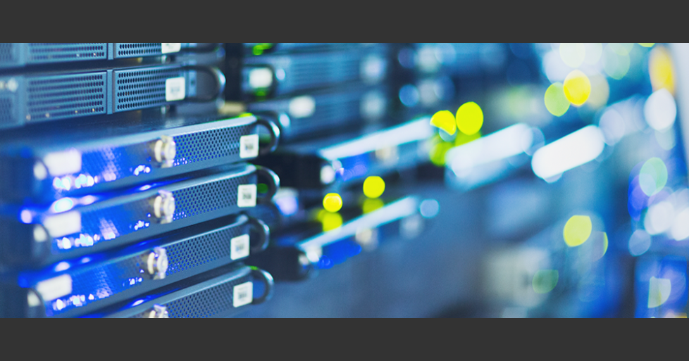 社内se 基幹webシステム運用 アニコム グループ