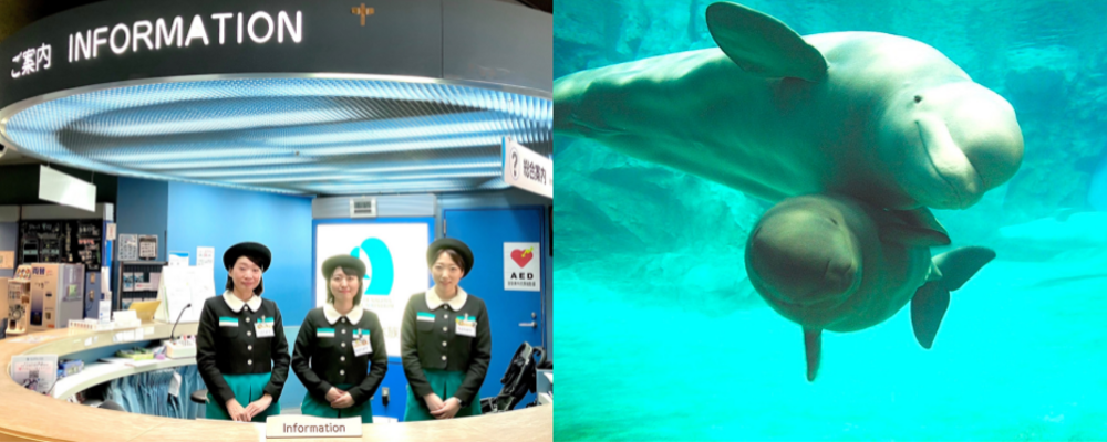 【名古屋港水族館】インフォメーションスタッフ積極募集中！フルタイム★ | 株式会社コングレ