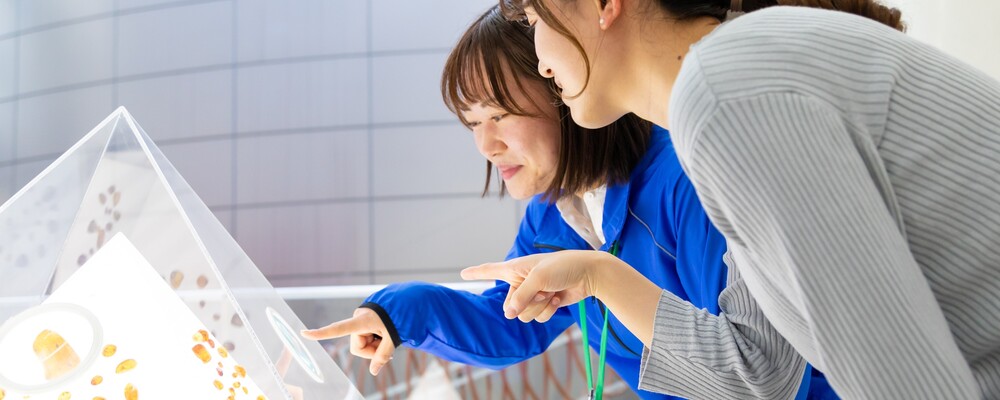 【板橋区立教育科学館・案内スタッフ】展示室案内アルバイトスタッフを募集中！ | 株式会社コングレ