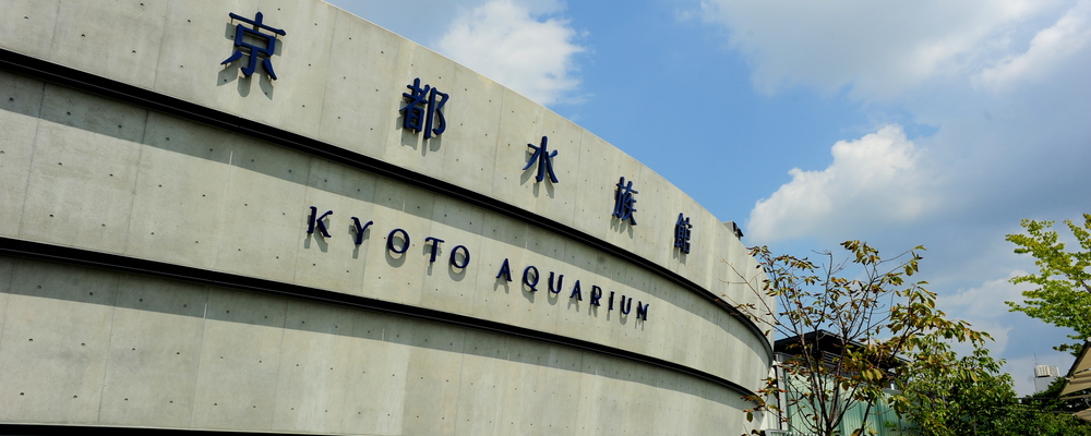 【大人気★水族館でのお仕事！】京都水族館　運営ディレクター大募集 | 株式会社コングレ