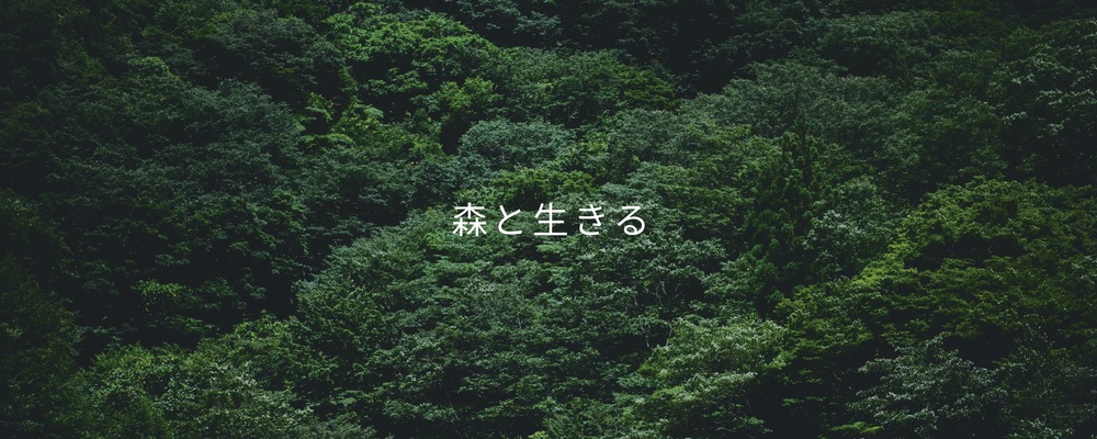 技術開発マネージャー（ADX出向） | 株式会社SANU