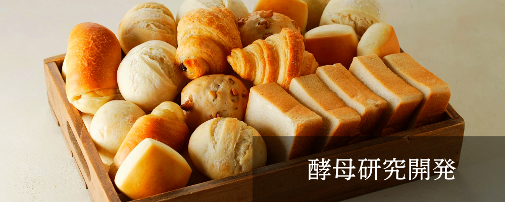 酵母研究開発/メンバー/桐生 | 株式会社スタイルブレッド