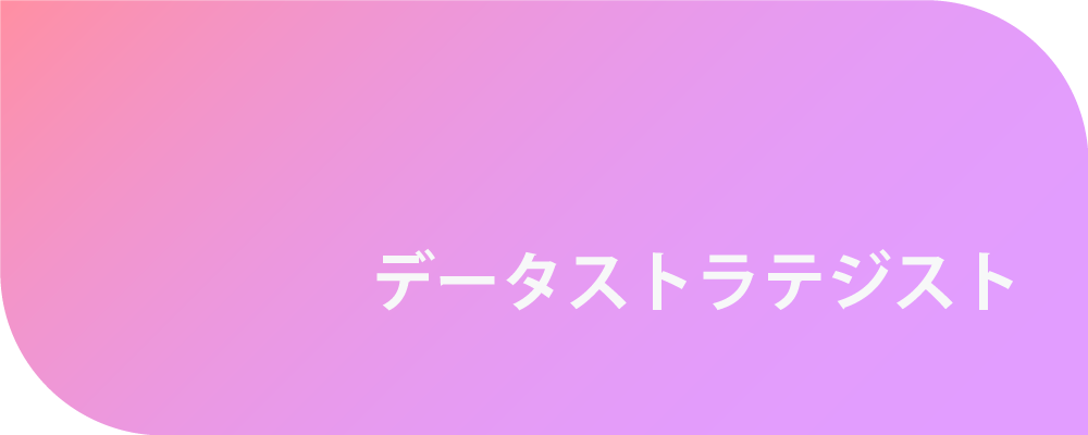 データストラテジスト | 株式会社ボルテックス