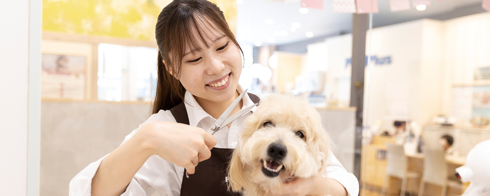 ペットトリマー講師（動物系専門学校：非常勤講師） | 滋慶学園グループ