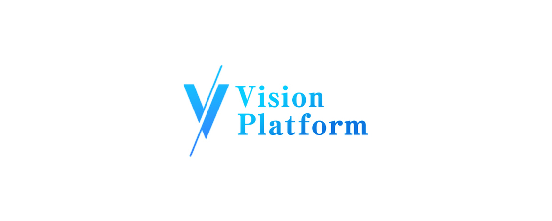 PE（バイアウト）投資プロフェッショナル | 株式会社vision platform
