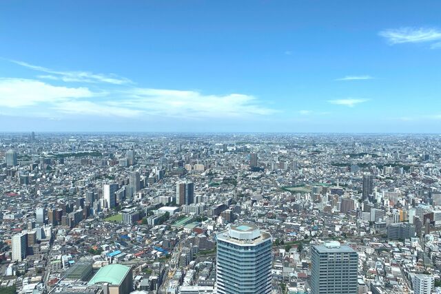 企業情報