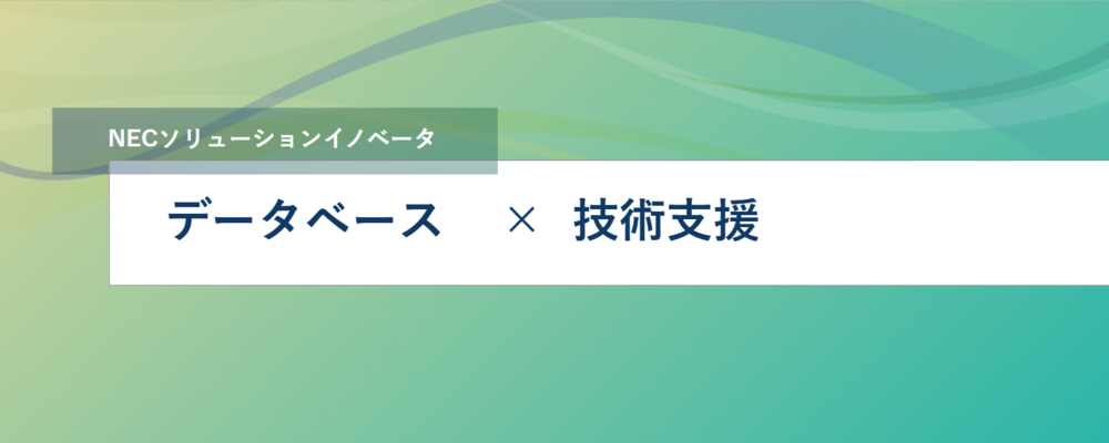 [TS36]＜PM・PM候補＞データベースプロフェッショナルサービス案件のプロジェクトマネージャー(Oracle/SQL Server) | NECソリューションイノベータ株式会社