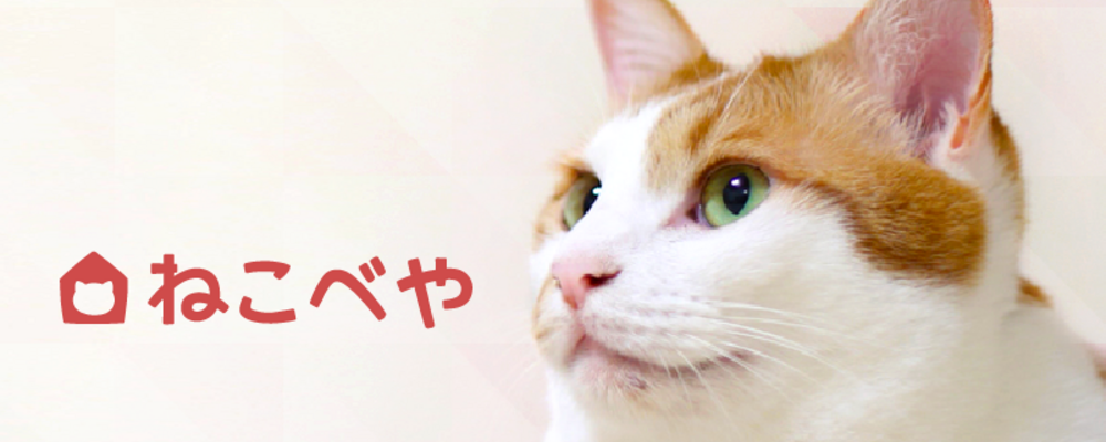 【2025年7月末新規オープン！】 猫専用の個室ペットホテルで獣医師として健康管理・診療を行います。 | 株式会社AMATUHI