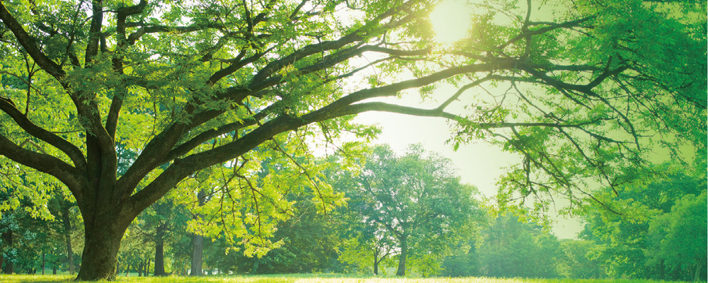 【ガーナ駐在】味の素ファンデーション　製品「KOKO Plus®」の販売・マーケティング担当者の募集（一般職） | 味の素株式会社