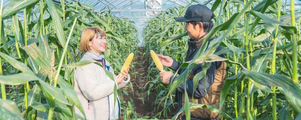 結デザイン有限会社