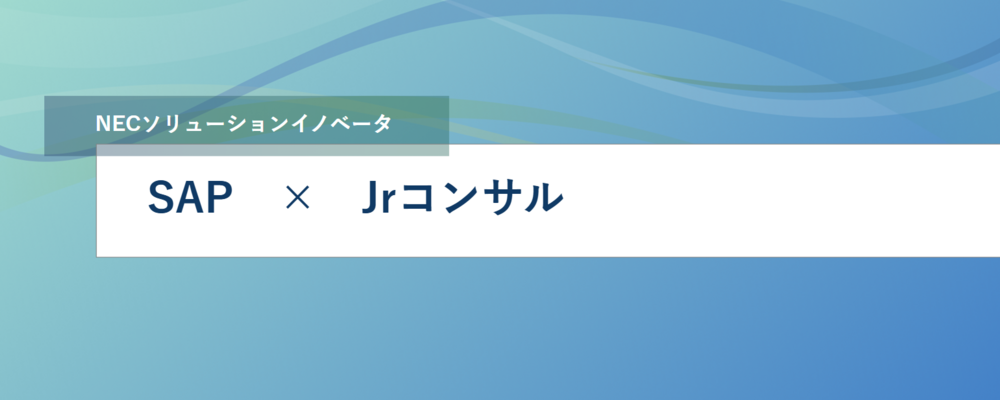 [EP04]<SAP Jrコンサルタント>SAPコンサルタントとしての成長とキャリア形成を目指す | NECソリューションイノベータ株式会社