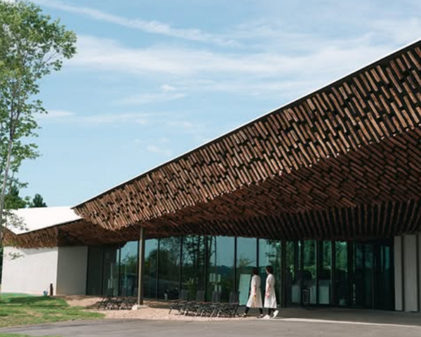 木を基調とした施設です。