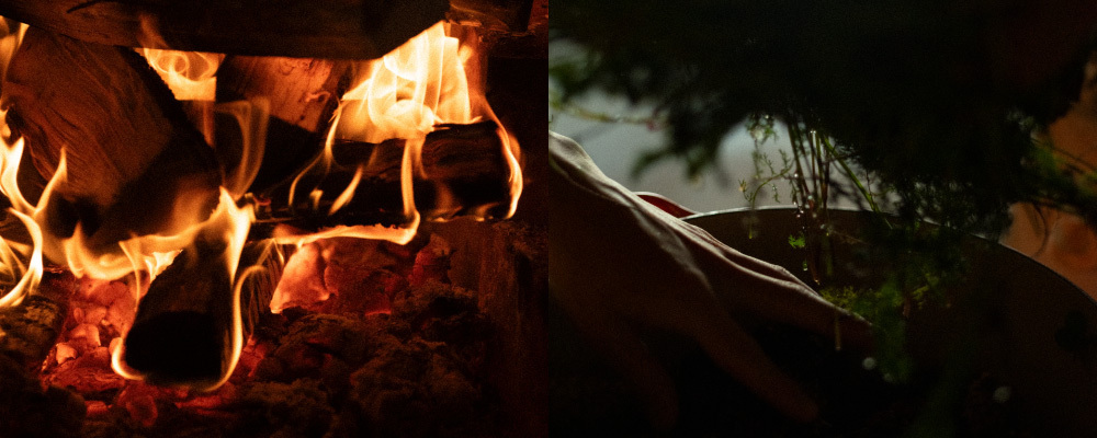 【MORISHIRO】森の恵みと香りを味わうレストラン　つくり手（調理師） | 株式会社シロ