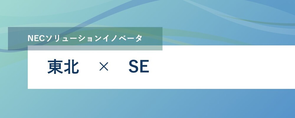 [EP120]＜東北/リーダー候補＞地域流通・サービスSME向けの業種業務システム導入プロジェクトのマネジメントおよび顧客アカウント対応 | NECソリューションイノベータ株式会社
