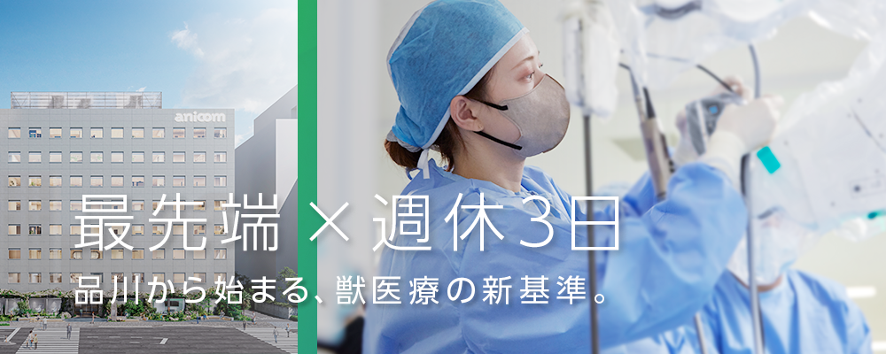 JARVISどうぶつ医療センター Tokyo会社説明会／新規オープン病院@品川 | アニコム グループ