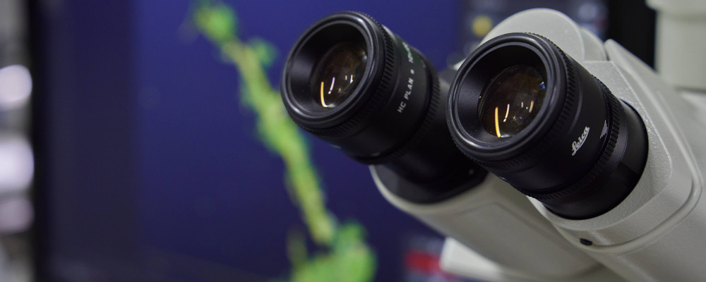 ♦千葉♦分析サポートスタッフ/契約社員募集/未経験◎/正社員登用実績◎ | 株式会社太平洋コンサルタント