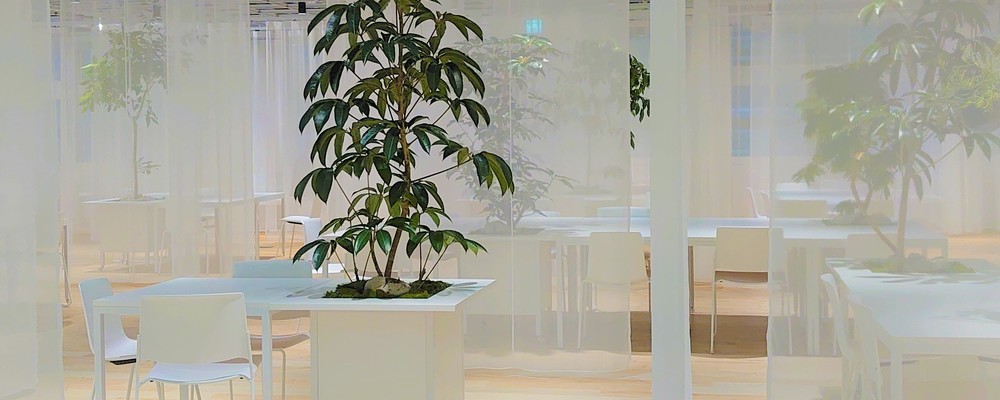 保健師（日本橋） | 株式会社コーセー