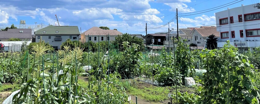埼玉・千葉エリア 体験農園の巡回整備・運営スタッフ | 株式会社マイファーム
