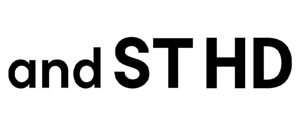 【アルバイト／(株)アンドエスティHD】カスタマーサクセス部 カスタマーサポートスタッフ | 株式会社アンドエスティHD