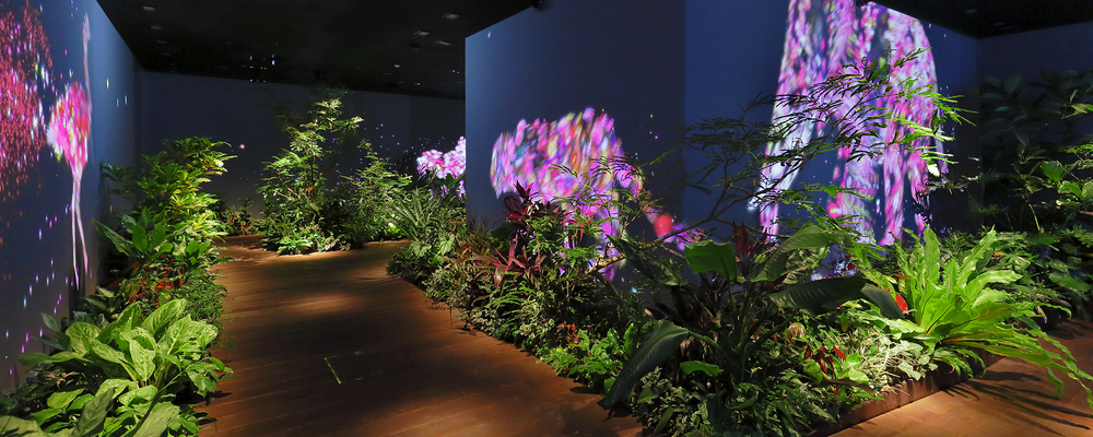 合同会社DMM.com | DMM.comGroup