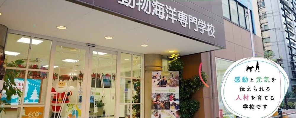 動物看護師（常勤講師）［ドッグ・動物・海洋・環境分野］ | 滋慶学園グループ