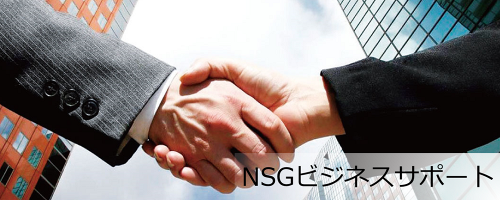 【社内SE】バックオフィス業務のDX推進・コスト削減に貢献｜所定労働時間7時間30分｜残業少なめ｜ワークライフバランス◎ | NSGグループ