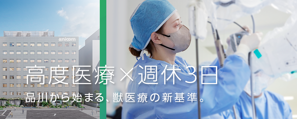 ★12月対面開催★JARVISどうぶつ医療センター Tokyo会社説明会／新規オープン病院@品川 | アニコム グループ