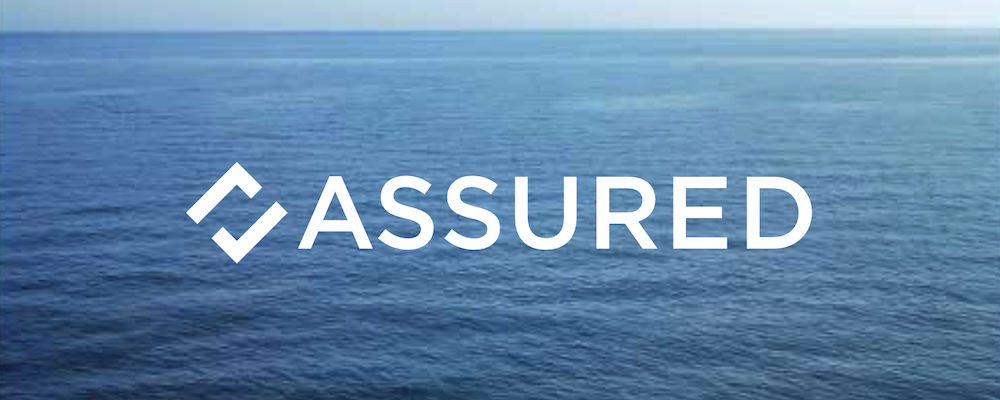 【新規事業】ドメインエキスパート＜IT監査＞ / 株式会社アシュアード | ビジョナル株式会社