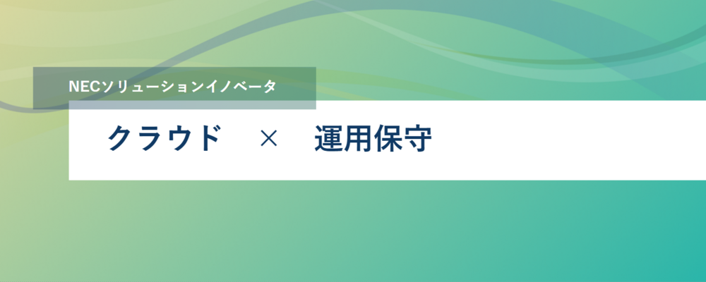 [TS03]＜リーダー候補｜大手企業領域＞クラウドシステムの運用保守エンジニア l 首都圏勤務・リモート可 | NECソリューションイノベータ株式会社