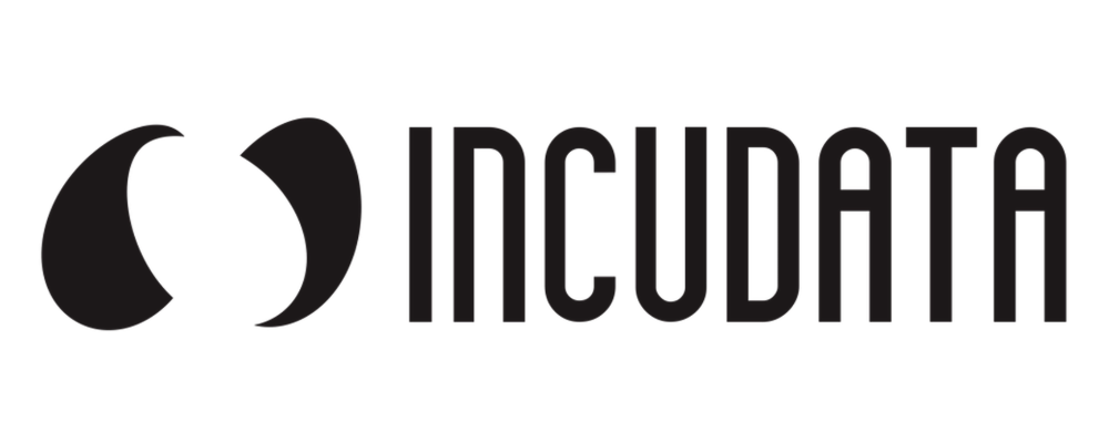 データマーケティングコンサルタント（メンバー） | インキュデータ株式会社