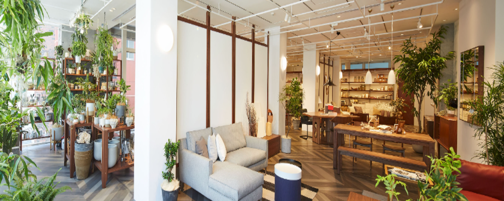 【大阪】グリーン担当バイヤー（アクタス関西店舗へ向けた観葉植物の仕入など） | 株式会社アクタス