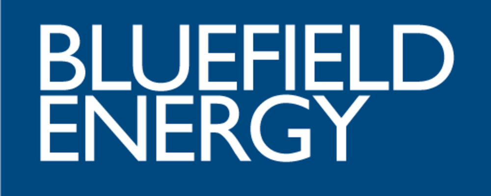 【アグリゲーション事業】運用立ち上げ / 責任者候補 | Bluefield Energy株式会社