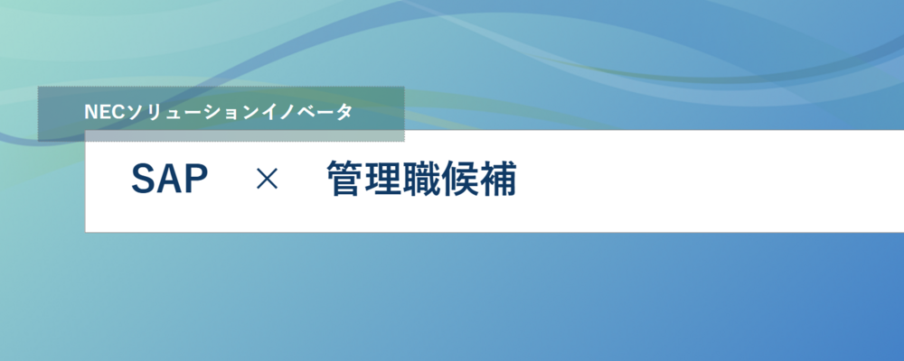 [EP01]＜幹部候補＞SAP領域の事業拡大に向けた要員育成、案件獲得、施策を推進 | NECソリューションイノベータ株式会社