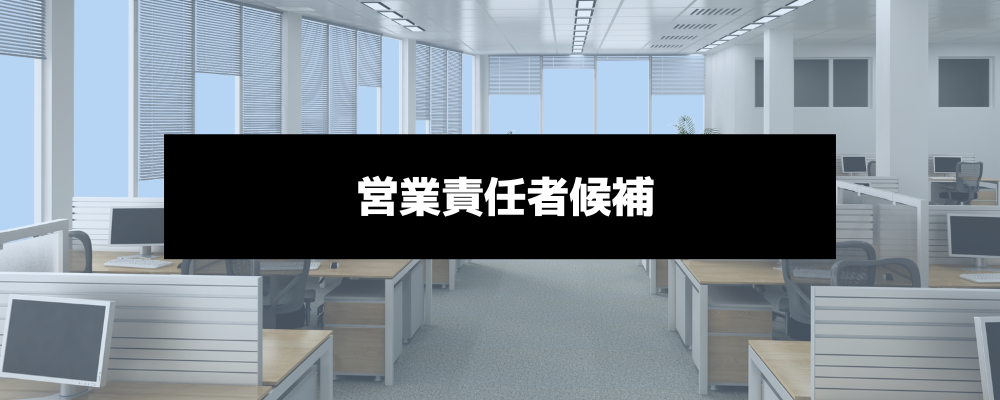 「個の力」で売るトップセールスから、「仕組み」で勝つ営業組織のアーキテクトへ | 株式会社スカイウイル