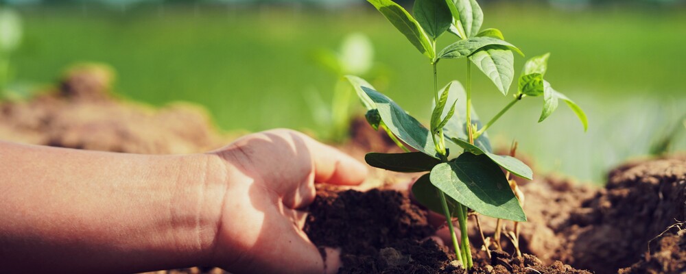 【横須賀】農作業業務サポート（障害がある方のサポート） | パーソルダイバース株式会社