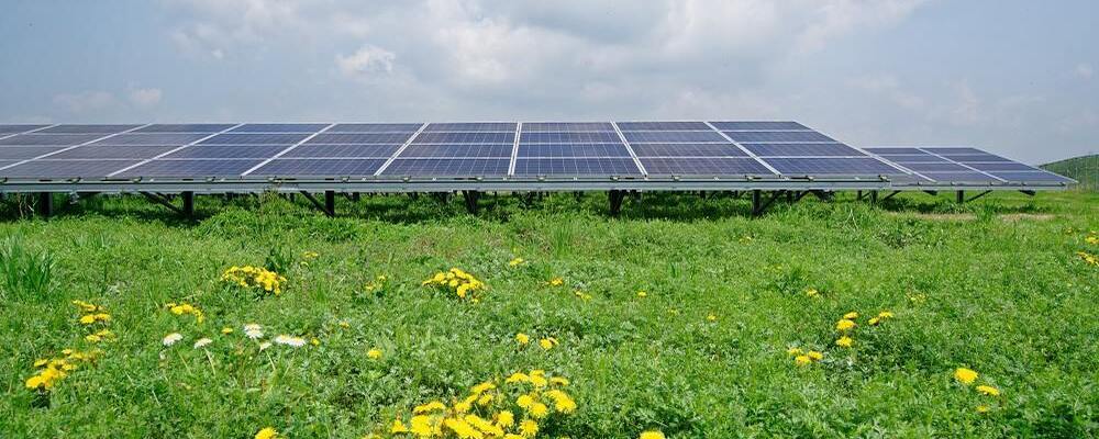 【注目を集める再エネベンチャー】地域の課題解決に貢献する太陽光発電プロジェクトマネージャーを募集中！ | 自然電力グループ