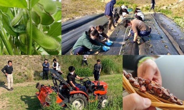 ６次産業を学ぶ学生達が地域固有の枝豆の栽培を継承。 自分たちで育てた豆で納豆の商品化にチャレンジ