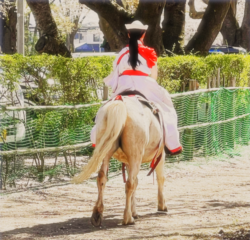 流鏑馬大会の様子①