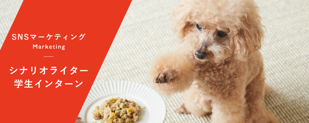 【学生インターン】SNSマーケティング・シナリオライター | 株式会社バイオフィリア