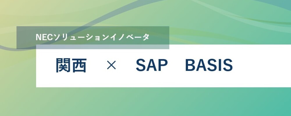 [SS25]（大阪勤務）SAPBASISコンサルタントの募集 | NECソリューションイノベータ株式会社