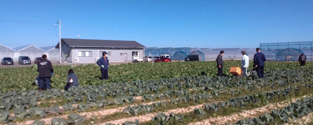 宮城県を拠点とした農業スクールの講師（アルバイト／業務委託） | 株式会社マイファーム