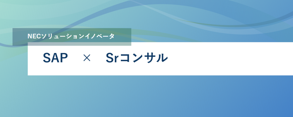 [EP03]<SAP Srコンサルタント>SAPコンサルタントとして活躍しながら次のステップへのキャリアアップを目指す | NECソリューションイノベータ株式会社