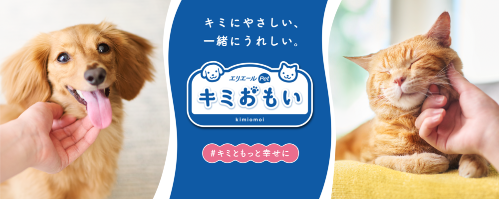 【東京】ペット用品の開発（担当者） | 大王製紙株式会社