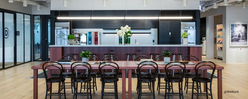 自社開発！HRテックサービスのセールス(東京) | 株式会社グレフ