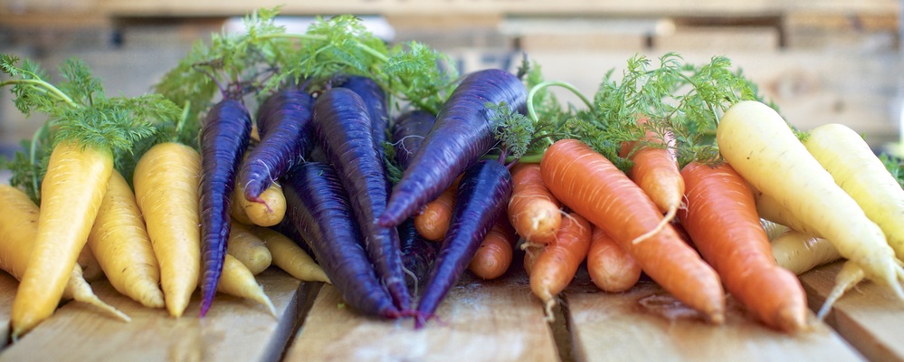 【語学力を活かす】月1回以上海外出張＊一気通貫の提案法人営業 | 住商フーズ株式会社