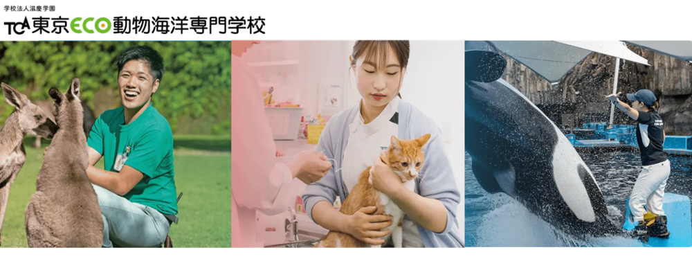 広報（動物・海洋分野の専門学校） | 滋慶学園グループ
