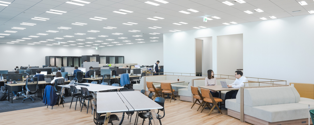 人事コンサルタント（Senior AssociateｰSenior Manager） | 株式会社エスネットワークス