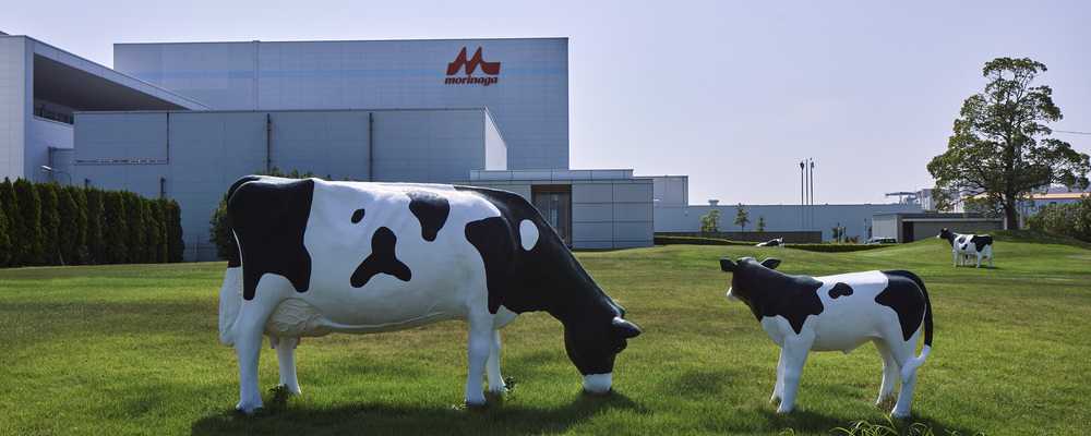 製造スタッフ（神戸工場） | 森永乳業株式会社