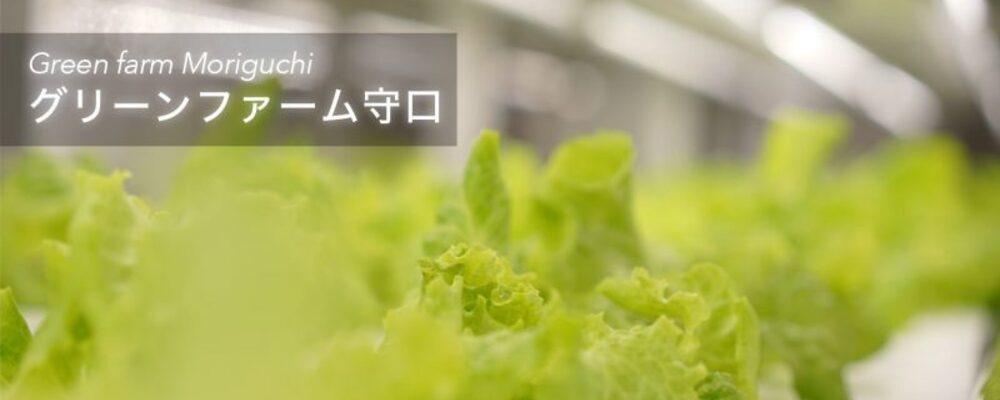 大阪府初の水耕栽培を通じた障害者就労支援事業です。 | グリーンライフ株式会社