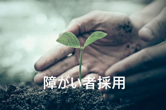 ↑障がい者採用はこちら